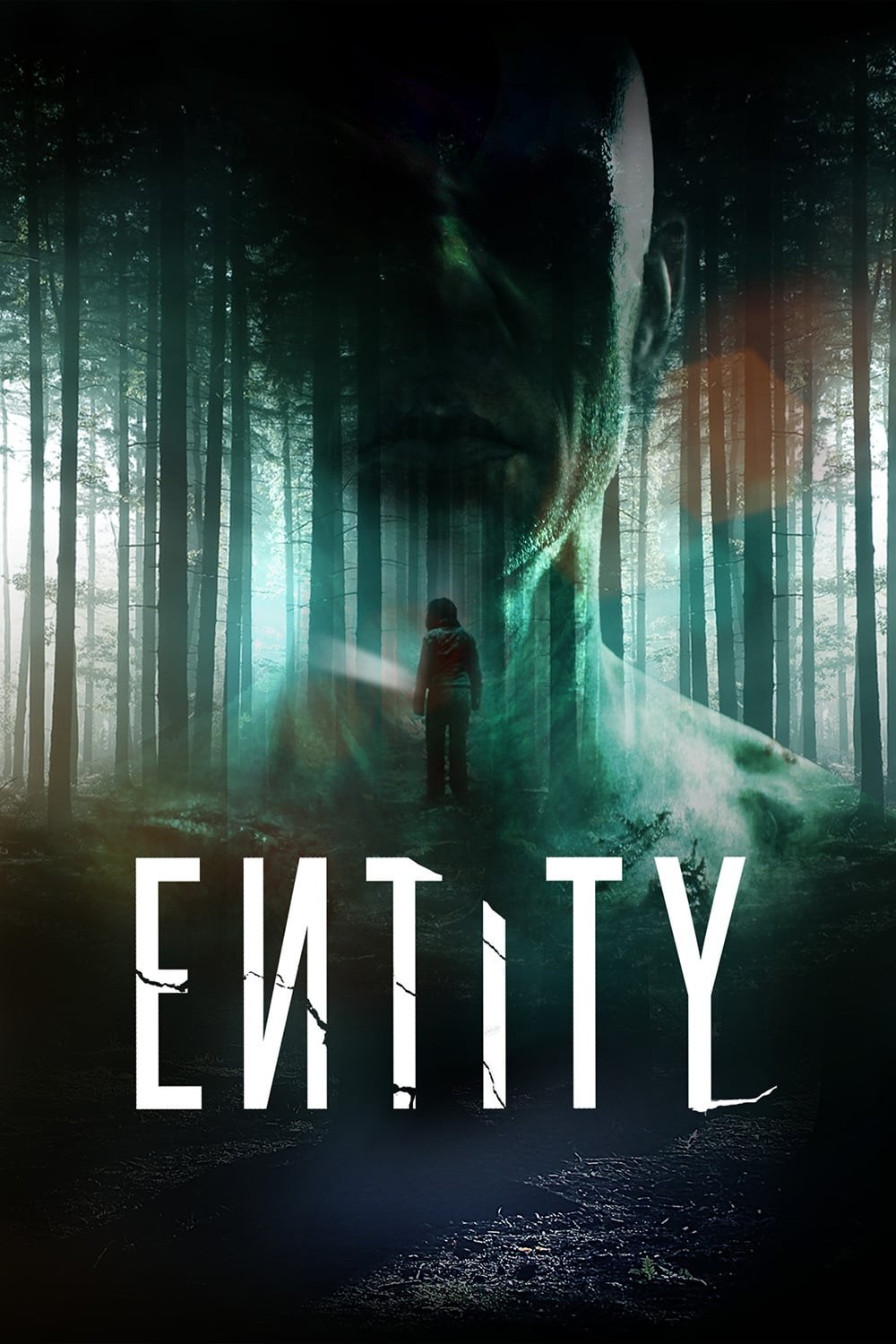 Poster de ENTITY en inglés