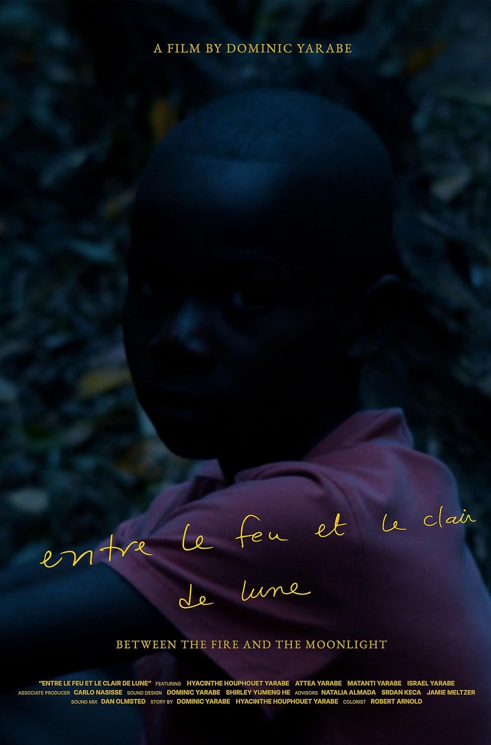 Poster de ENTRE LE FEU ET LE CLAIR DE LUNE