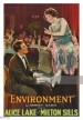 Environment