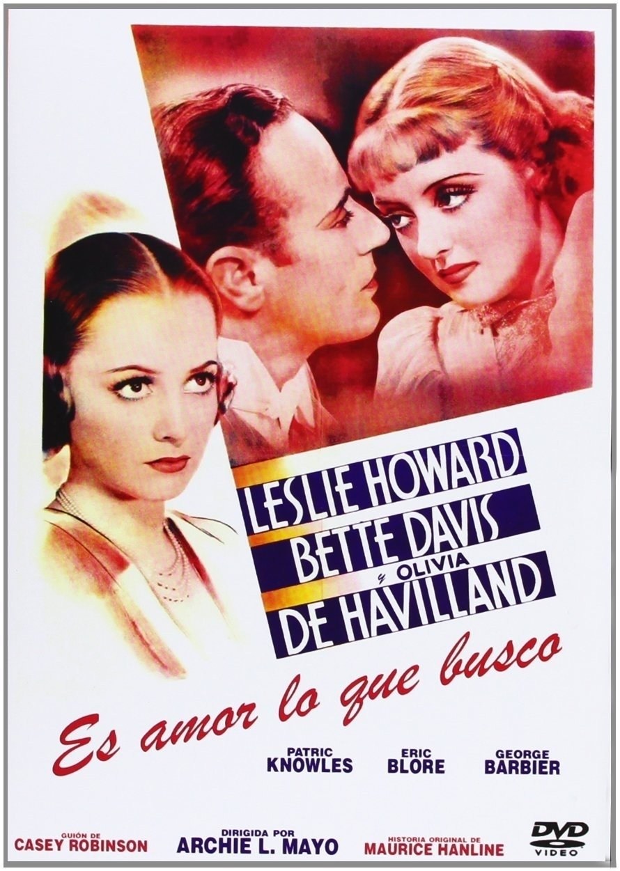 Poster de ES AMOR LO QUE BUSCO en español