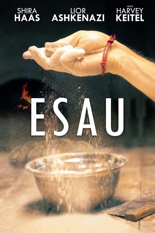 Poster de ESAU en inglés