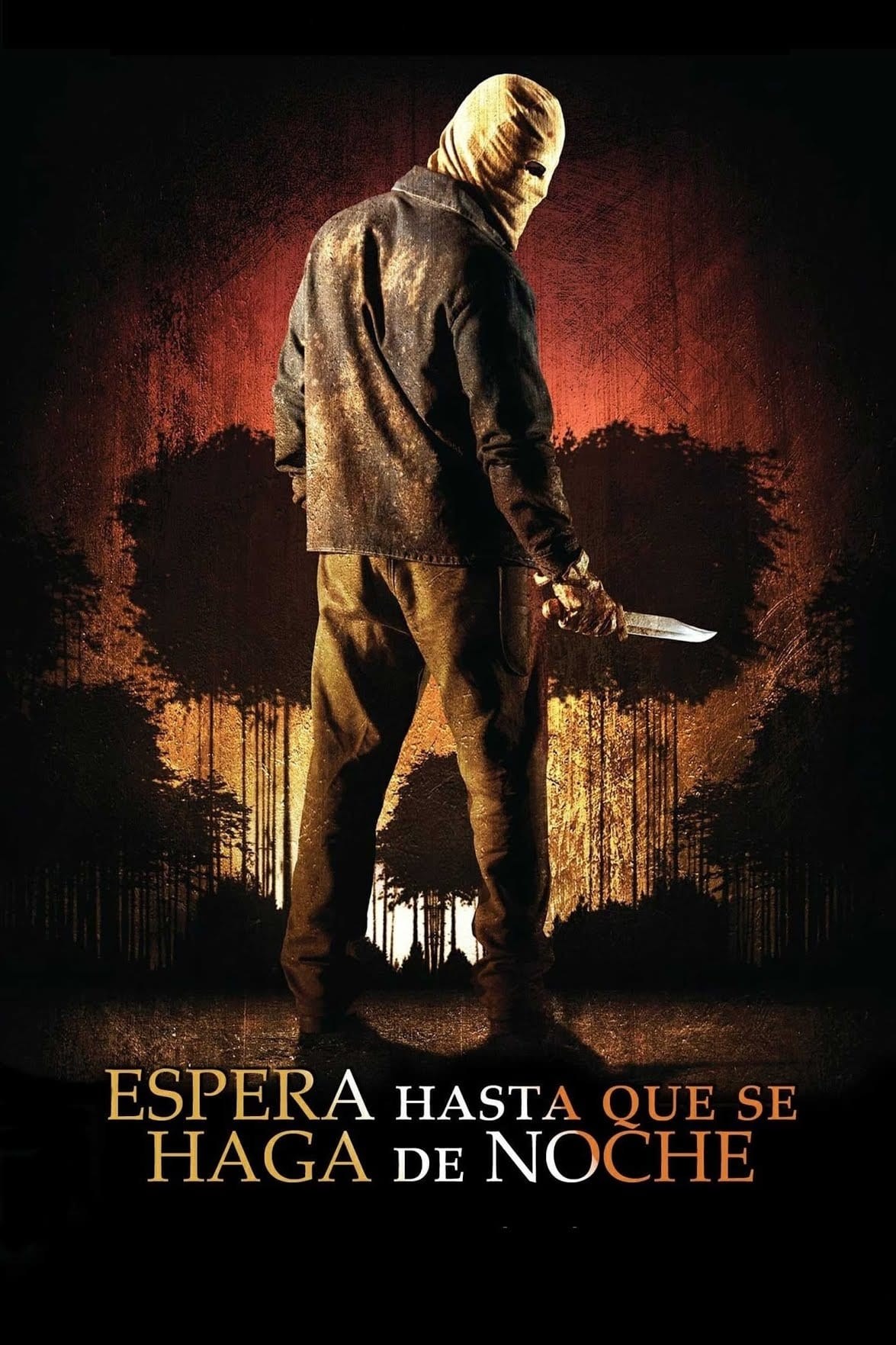Poster de ESPERA HASTA QUE SE HAGA DE NOCHE en español