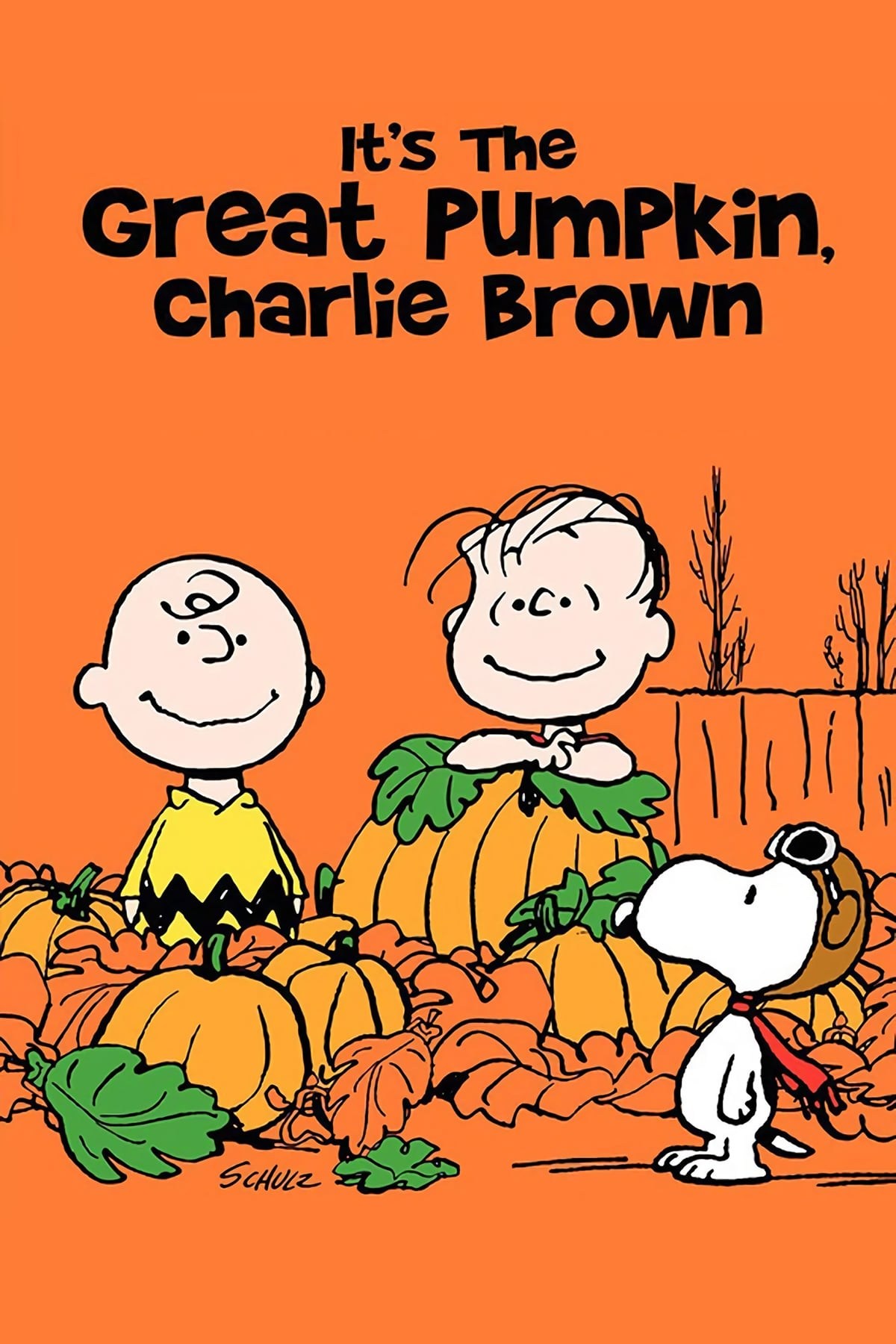 Poster de ÉSTA ES LA GRAN CALABAZA, CHARLIE BROWN en inglés