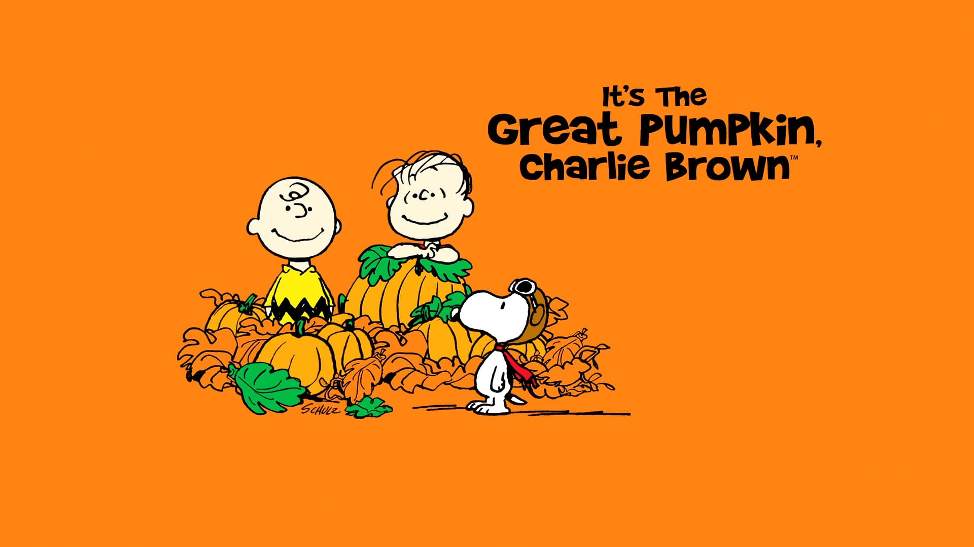 Foto de ÉSTA ES LA GRAN CALABAZA, CHARLIE BROWN
