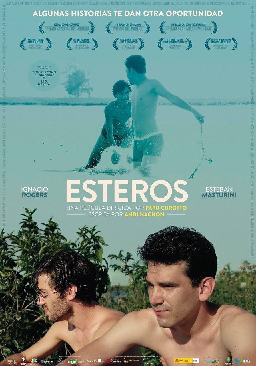 Poster de ESTEROS en español