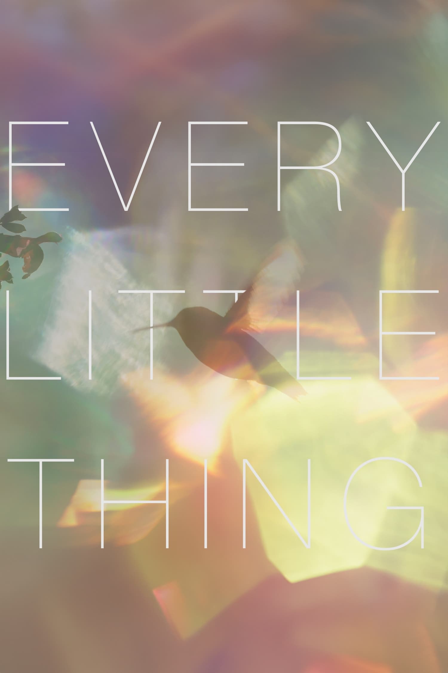 Poster de EVERY LITTLE THING en inglés