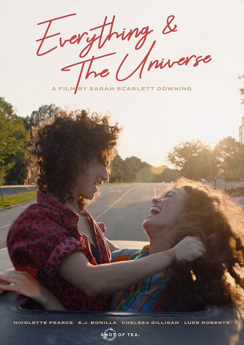 Poster de EVERYTHING & THE UNIVERSE