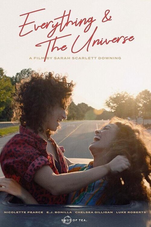 Poster de EVERYTHING & THE UNIVERSE en inglés