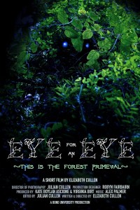 Eye for an Eye