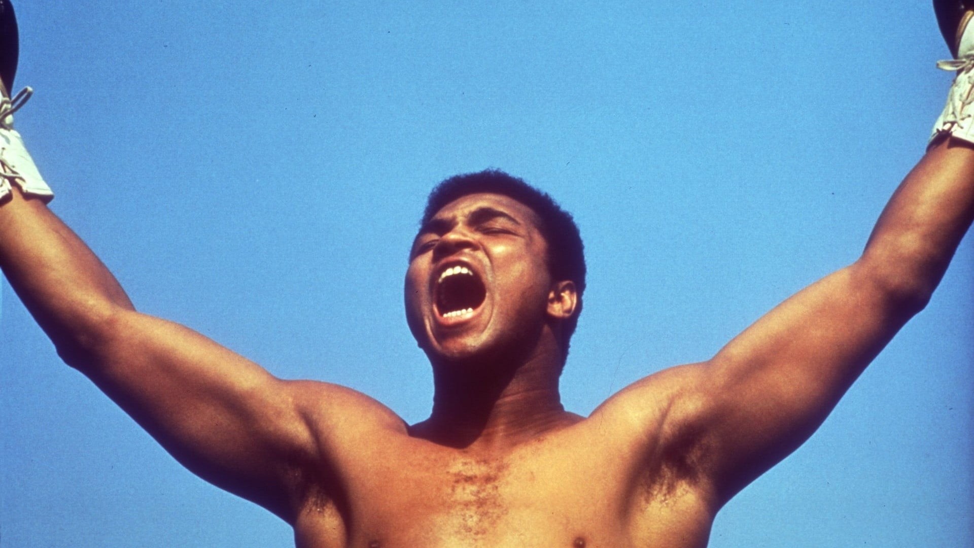 Foto de FACING ALI