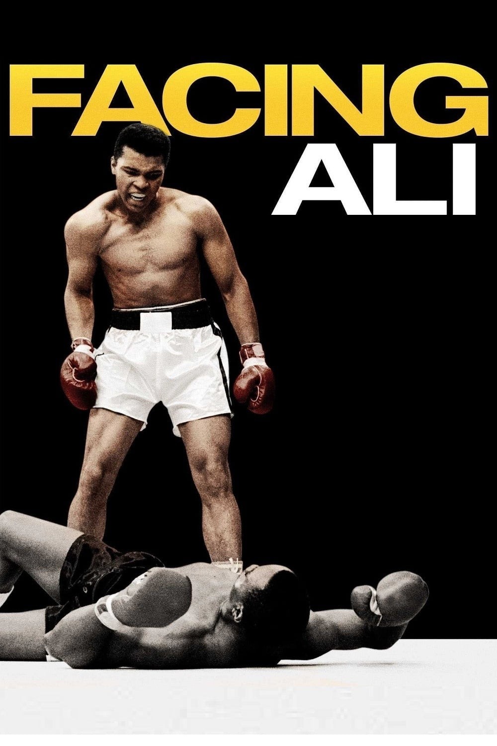 Poster de FACING ALI