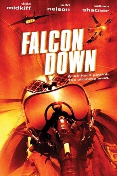 Poster de FALCON DOWN