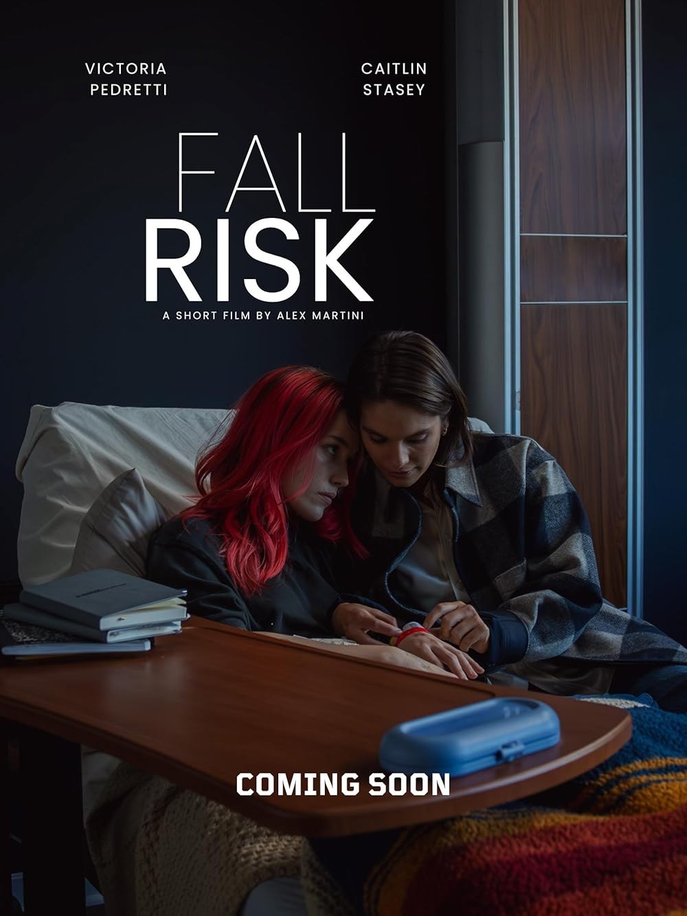 Poster de FALL RISK