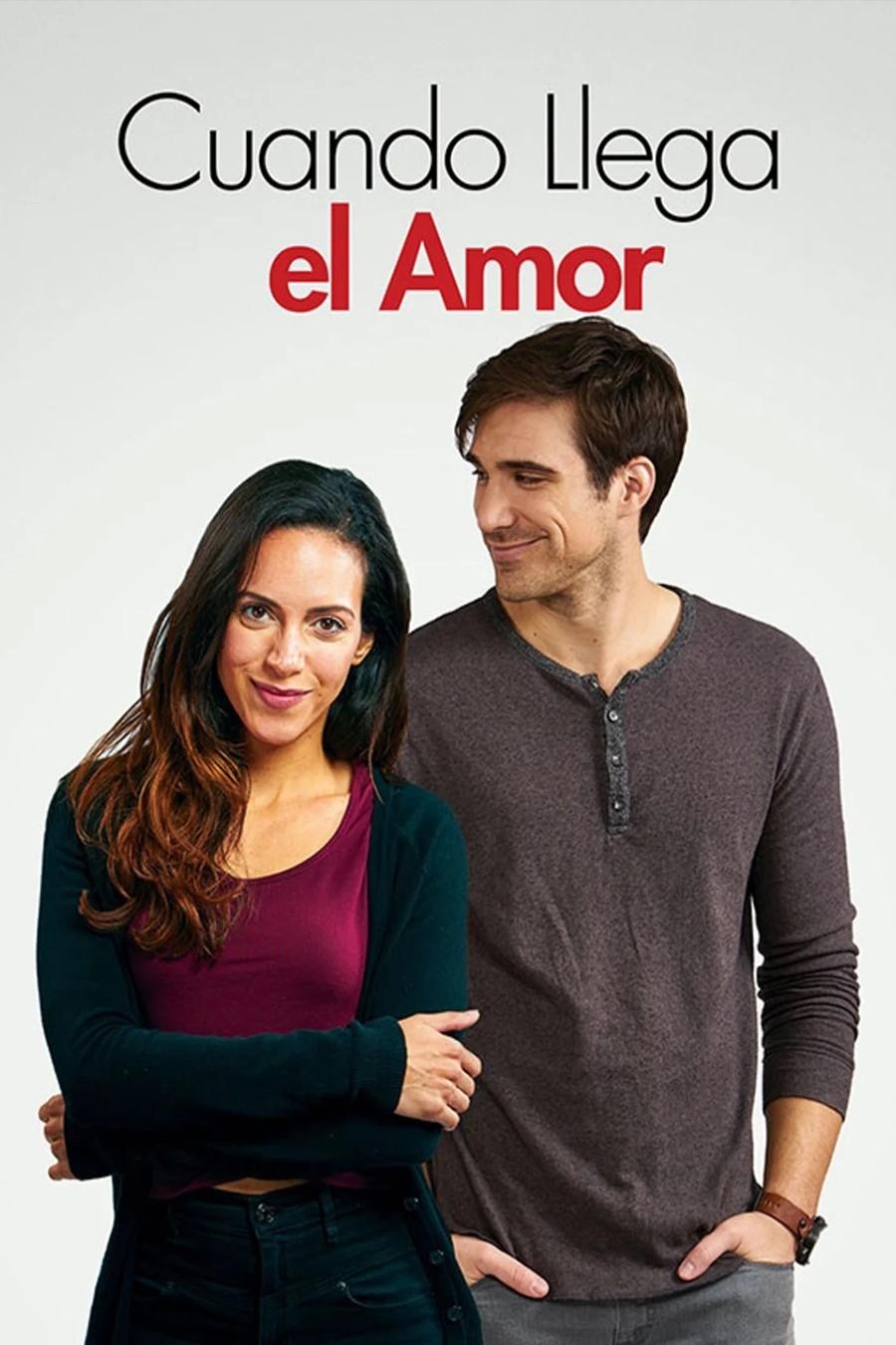 Poster de FALSE HOPES en español