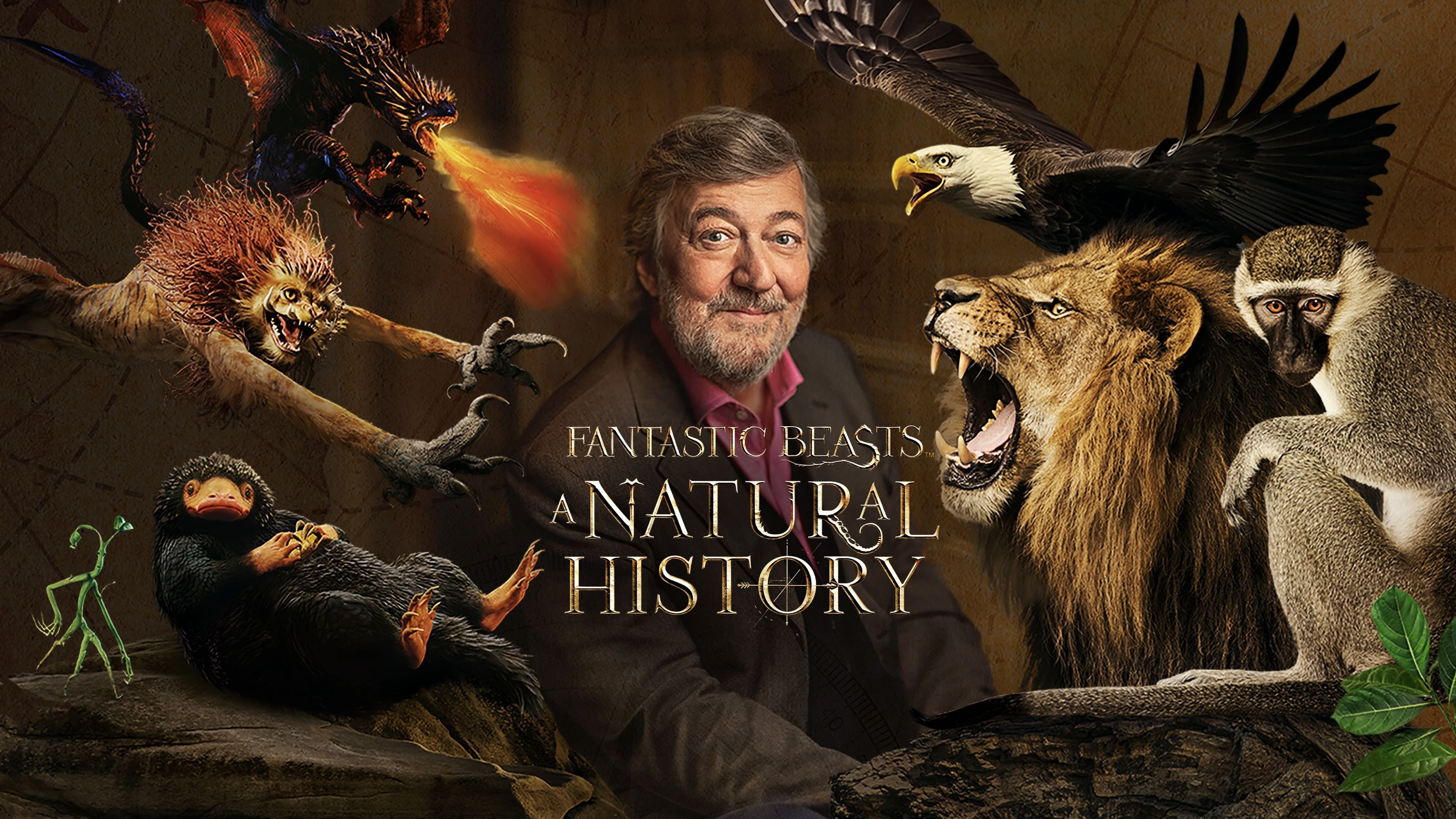 Foto de FANTASTIC BEASTS: A NATURAL HISTORY