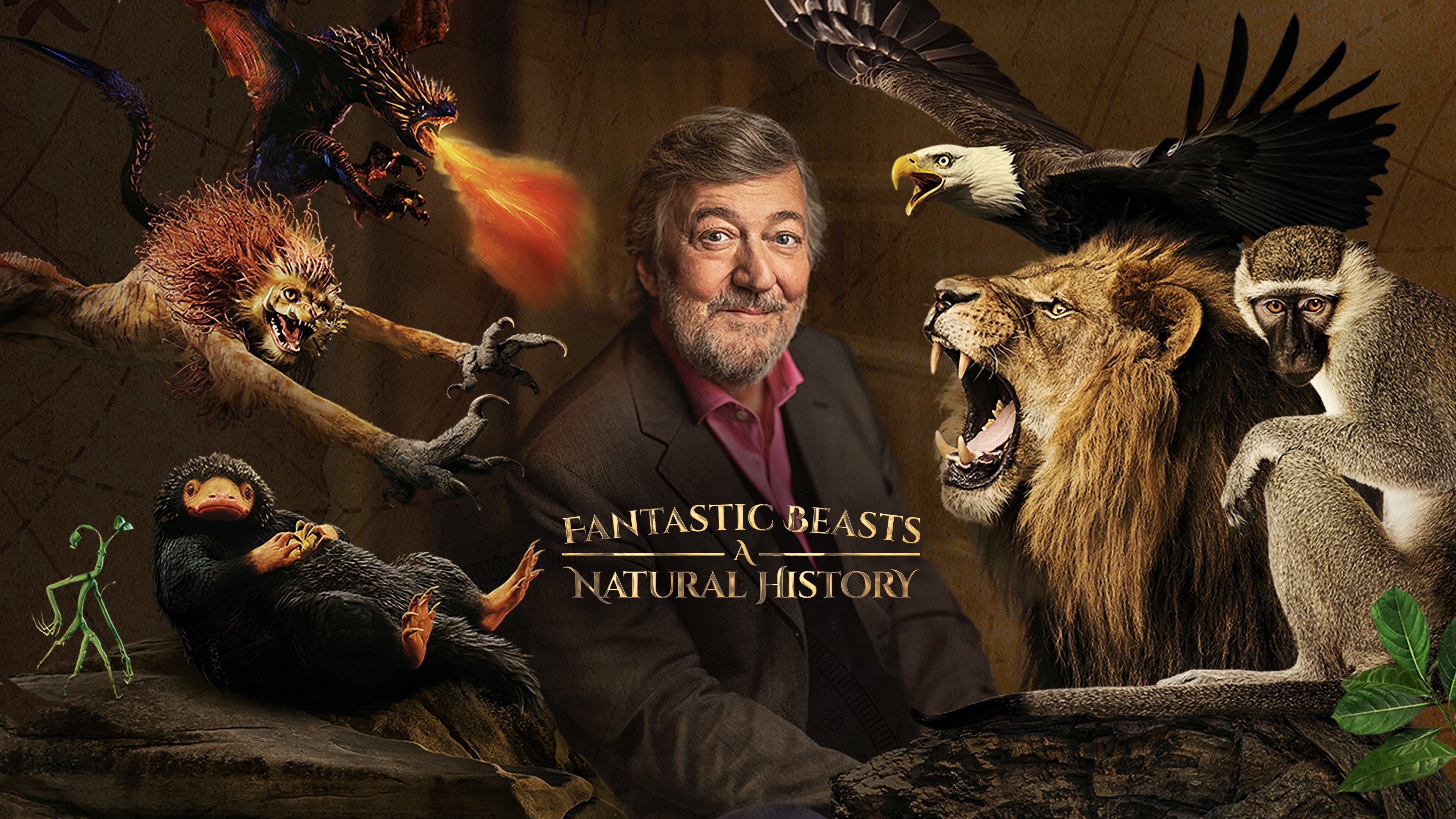 Foto de FANTASTIC BEASTS: A NATURAL HISTORY