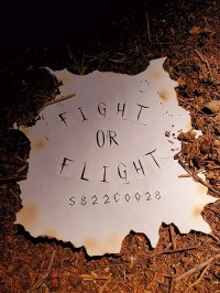 Fight or Flight