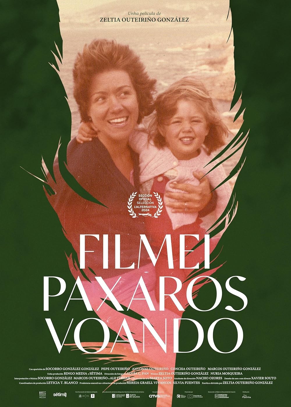 Poster de PÁJAROS VOLANDO