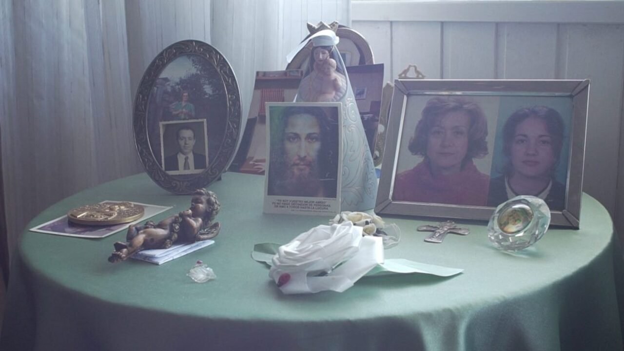 Foto de PÁJAROS VOLANDO