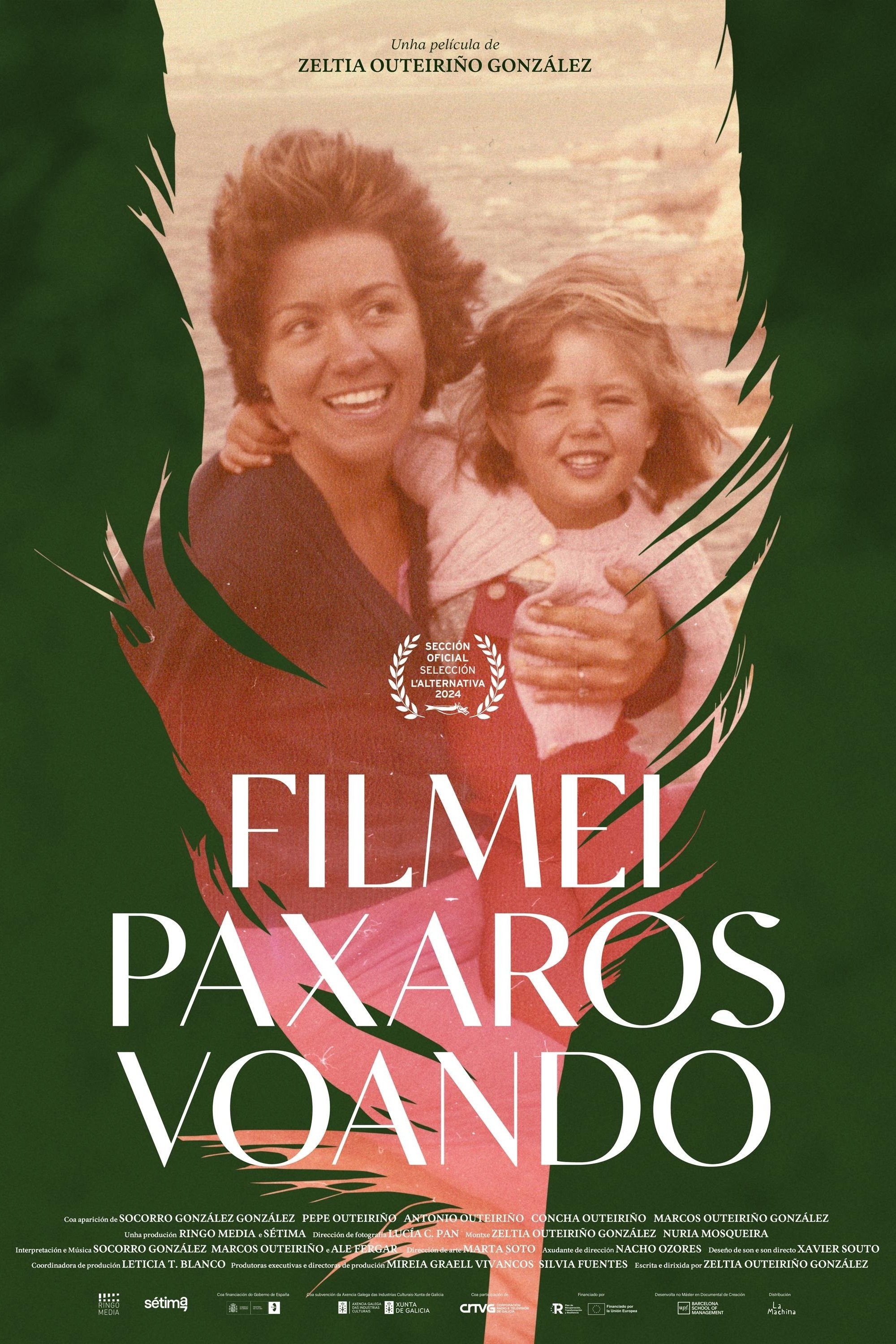 Poster de PÁJAROS VOLANDO