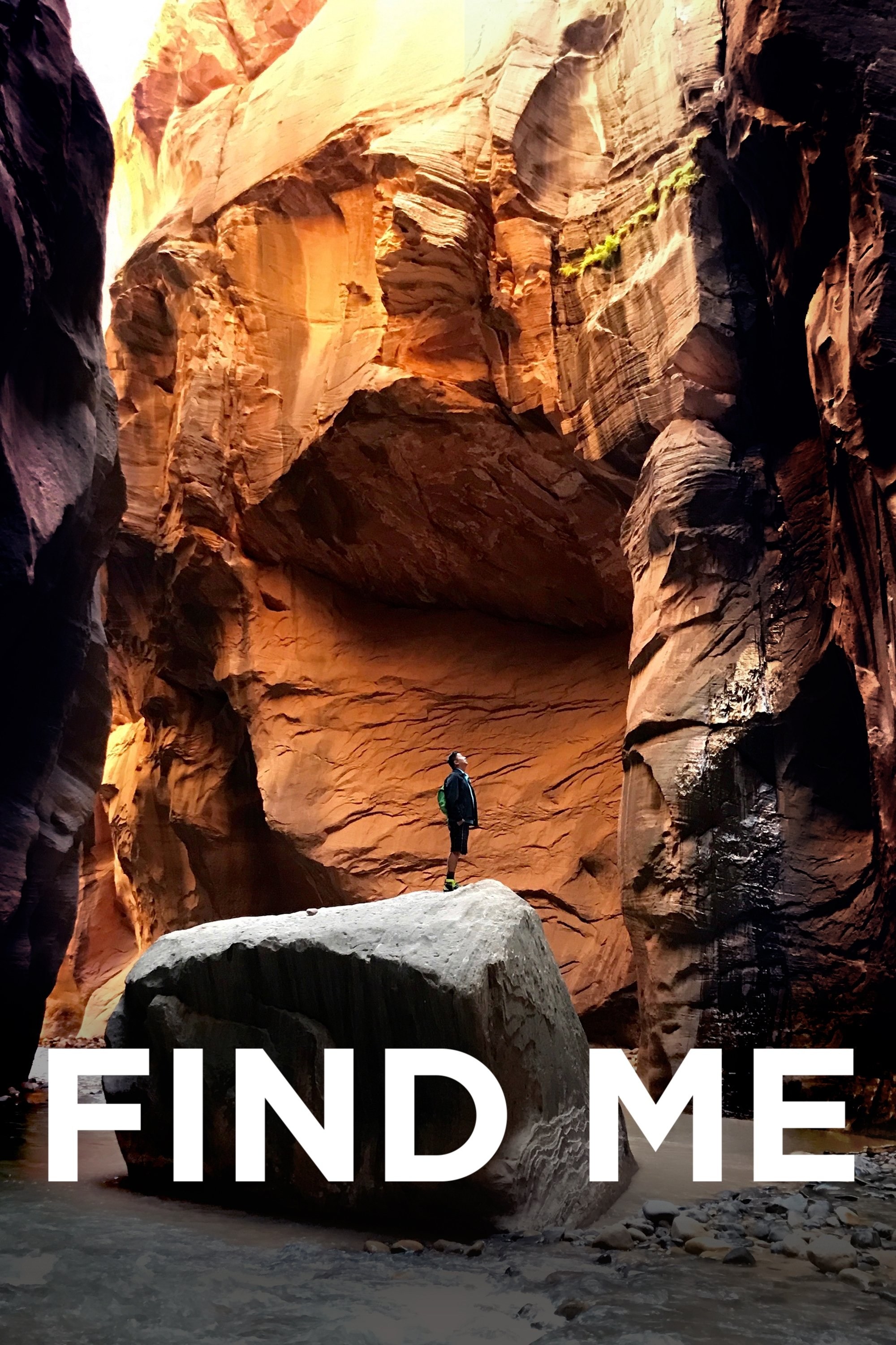 Poster de FIND ME en inglés