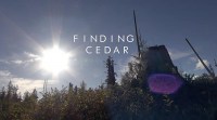Finding Cedar