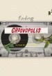 Finding Groovopolis