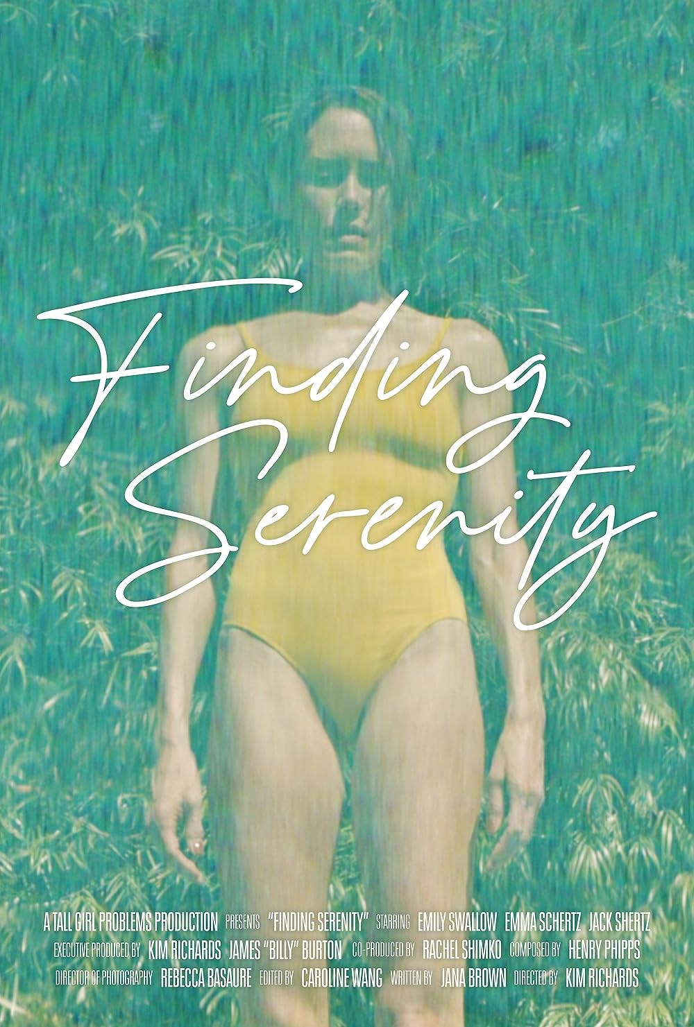 Poster de FINDING SERENITY