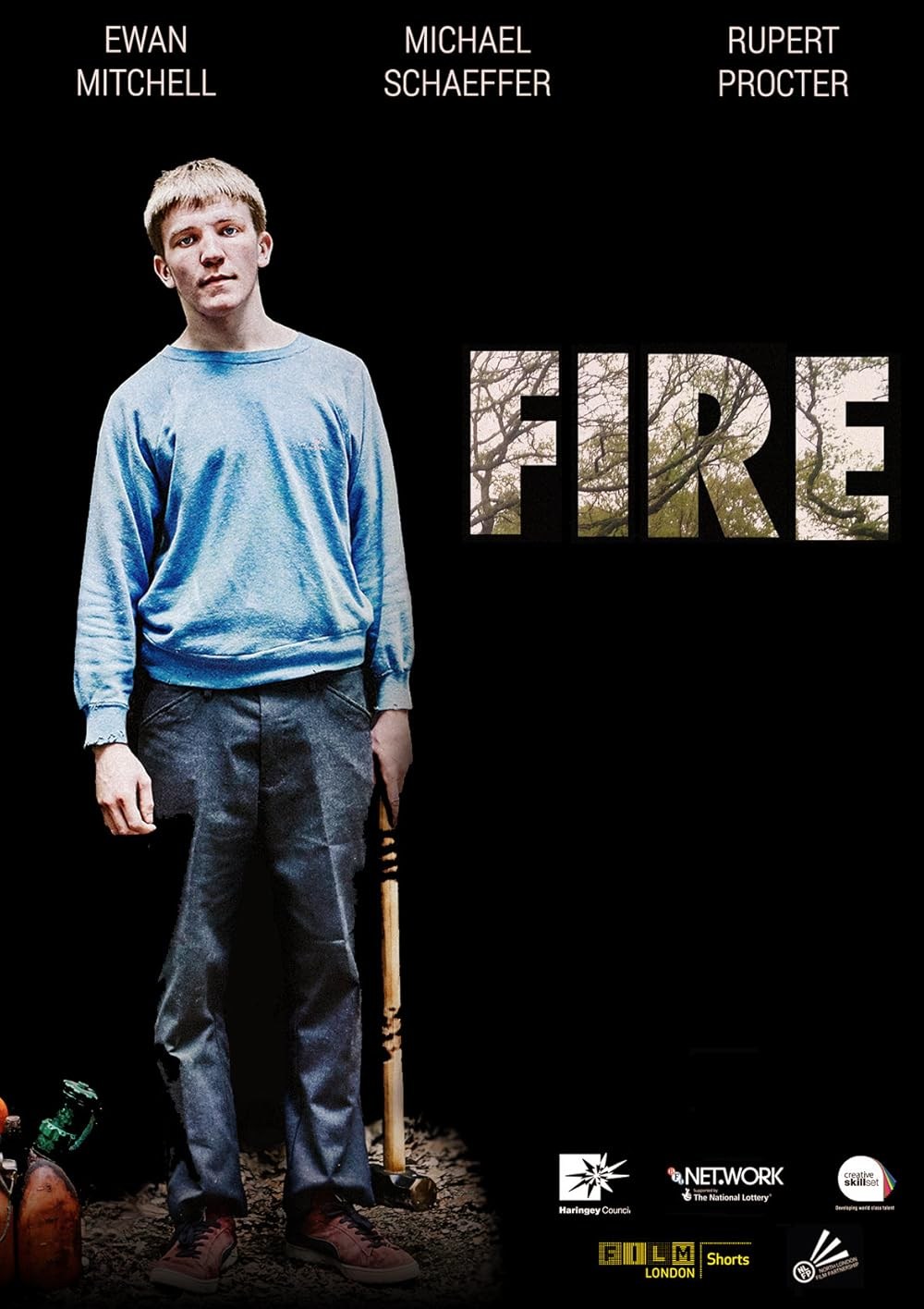 Poster de FIRE