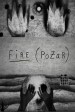 Fire (Pozar)