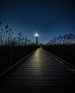Fire Island
