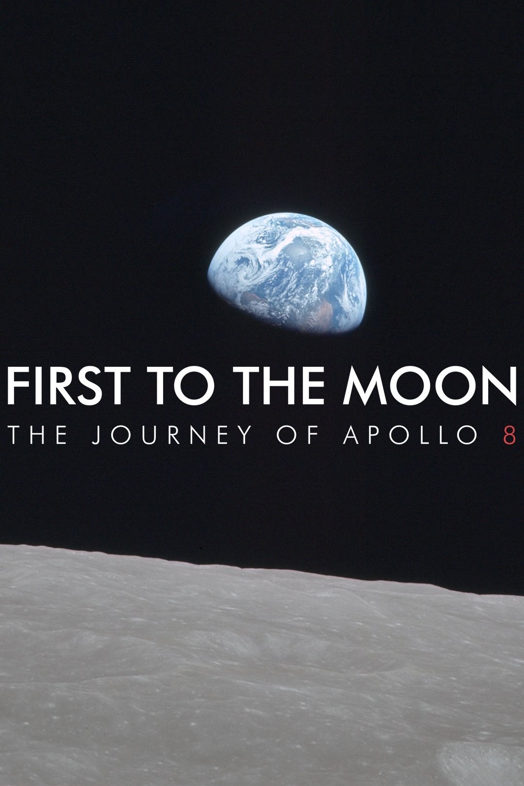 Poster de FIRST TO THE MOON