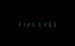 Five Eyes