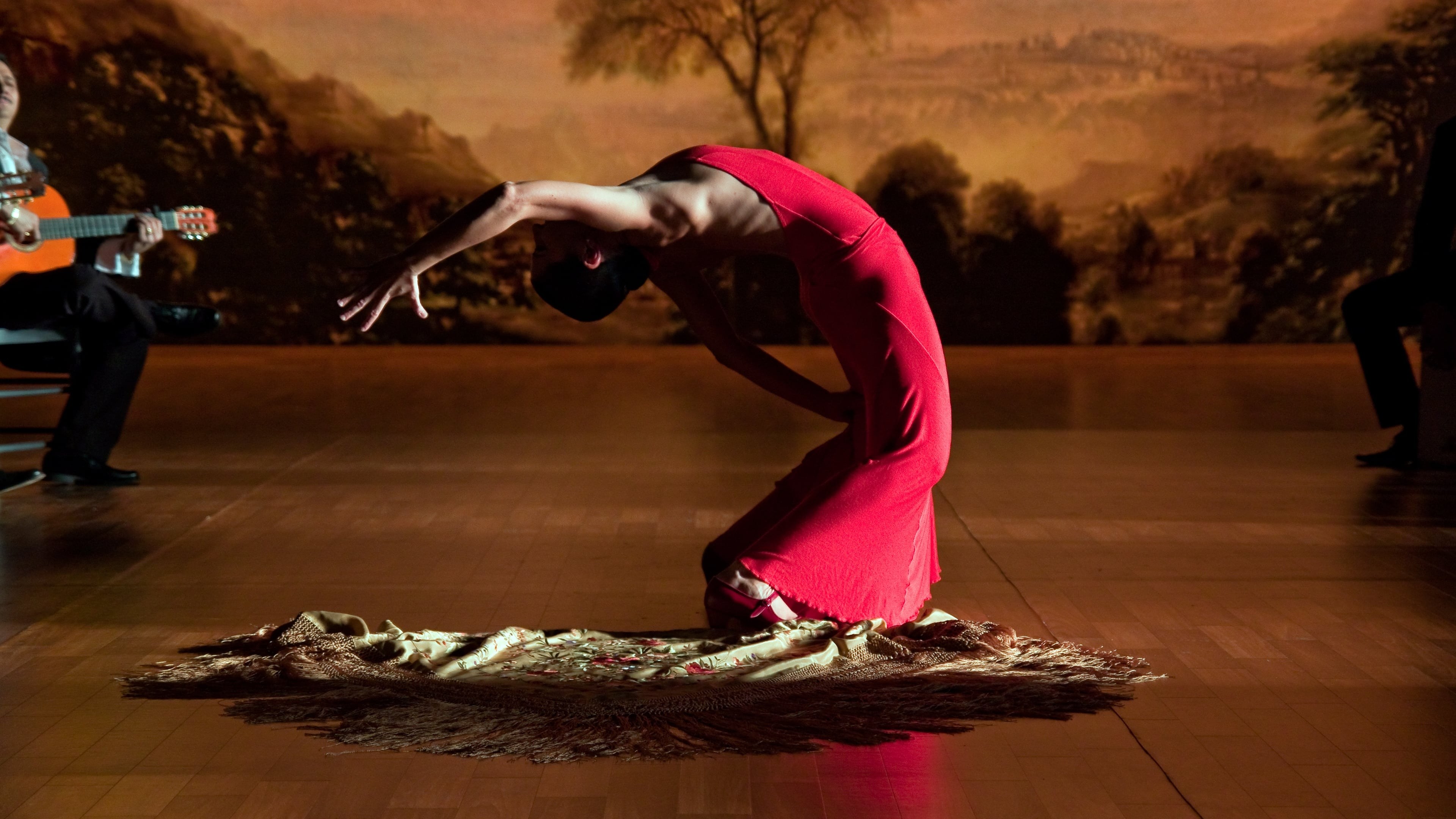 Foto de FLAMENCO, FLAMENCO