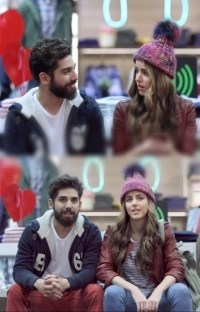 Flechazos (El  Comienzo de una aventura de amor)