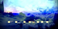 Flight