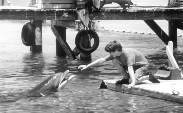 Foto de FLIPPER