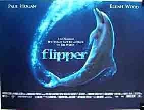 Foto de FLIPPER