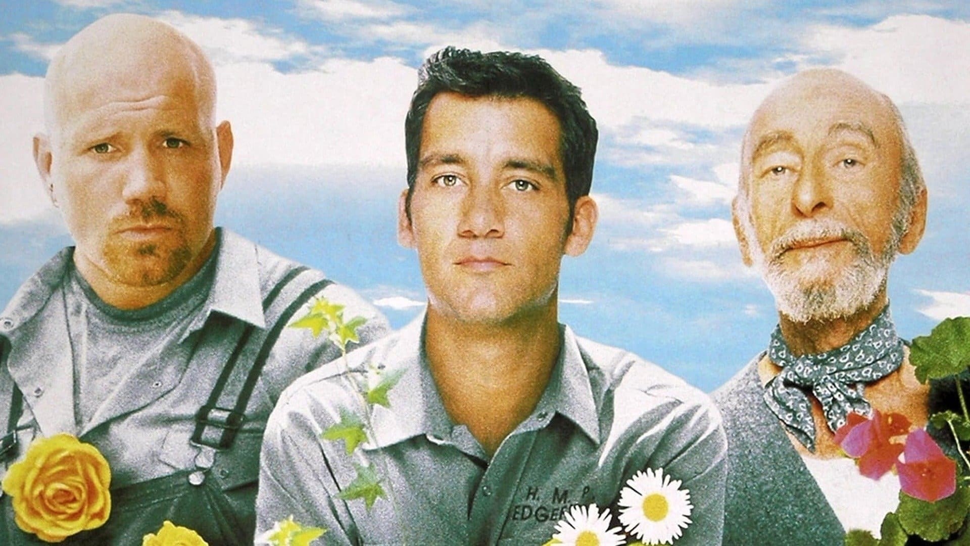 Foto de FLOWER POWER, COMO UNA REGADERA