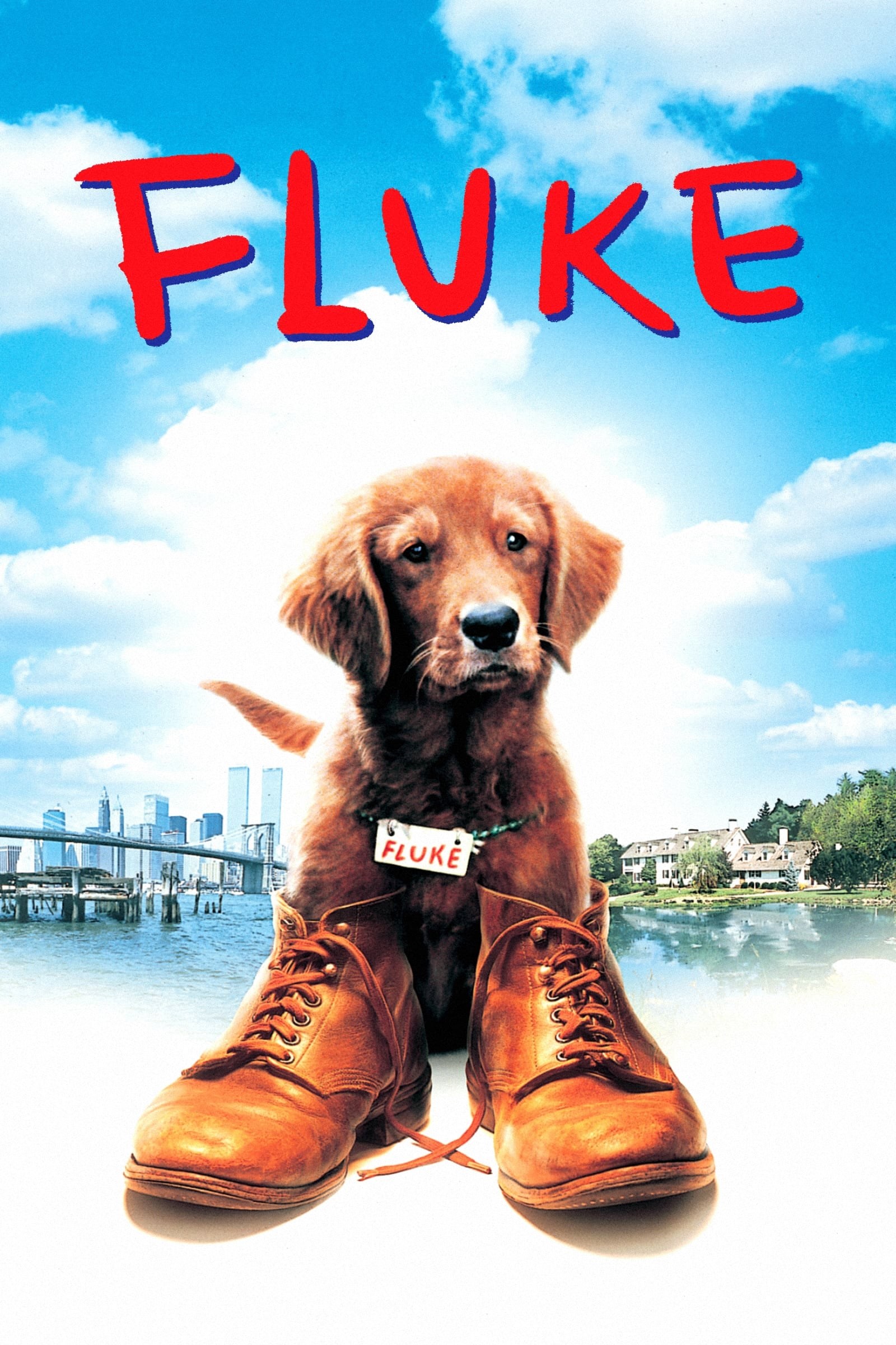 Poster de FLUKE en inglés