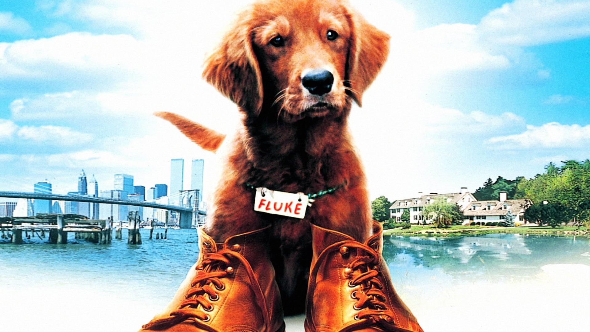 Foto de FLUKE