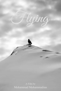 Flying