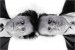 Foley & McColl: This Way Up