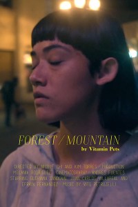 Forest/Mountain