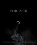 Forever
