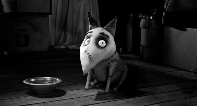 Foto de FRANKENWEENIE