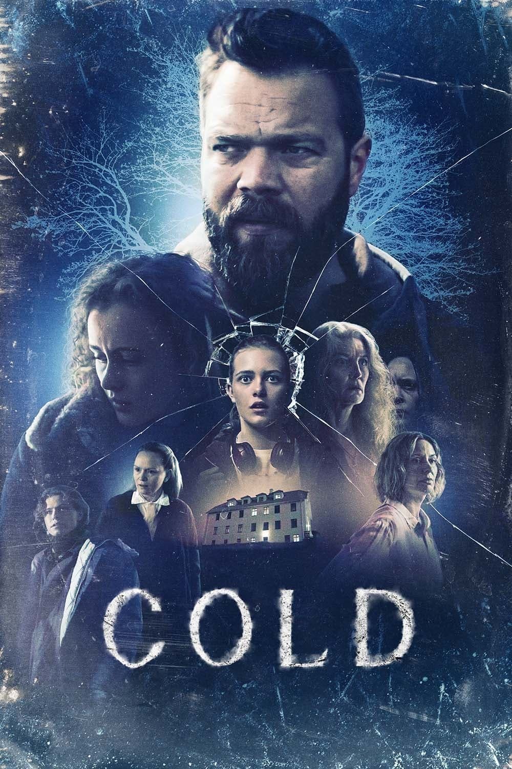 Poster de KULDI en inglés