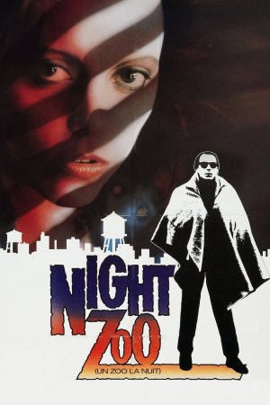 Fronteras de la noche