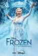 Disney's Frozen: The Hit Broadway Musical