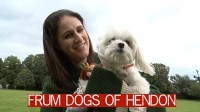 Frum Dogs of Hendon